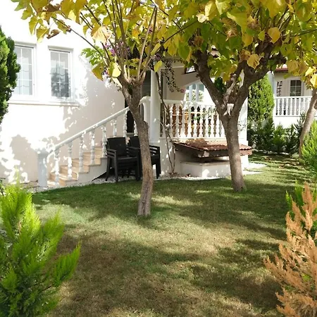 Begonvil, Oludeniz 페티예