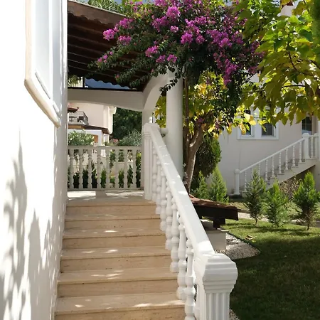 Begonvil, Oludeniz *